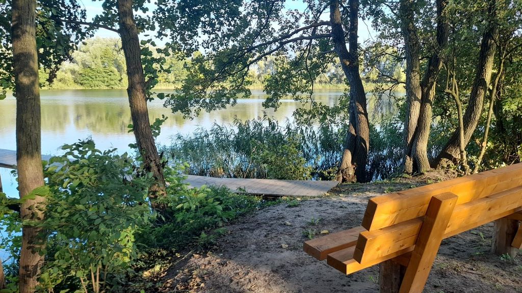 kleine Hütte am Kritzower See mit Steg & Natur pur