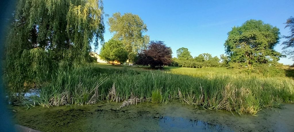 Ruhige Landschaft mit See - Camp am Landgut