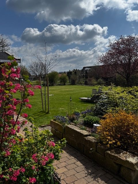 Emplacement à Holle, près du Hofcafé & Eismanufaktur