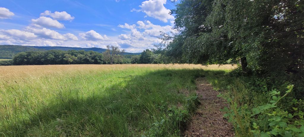Dein Naturplatz zwischen Wald und Weite