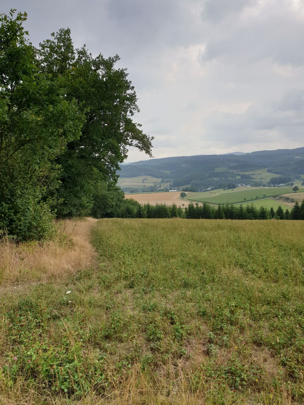 Stellplatz am Ortsrand mit weitem Blick