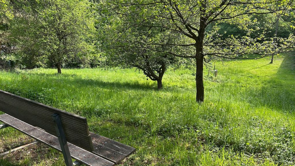 Idyllic campsite on the edge of the forest