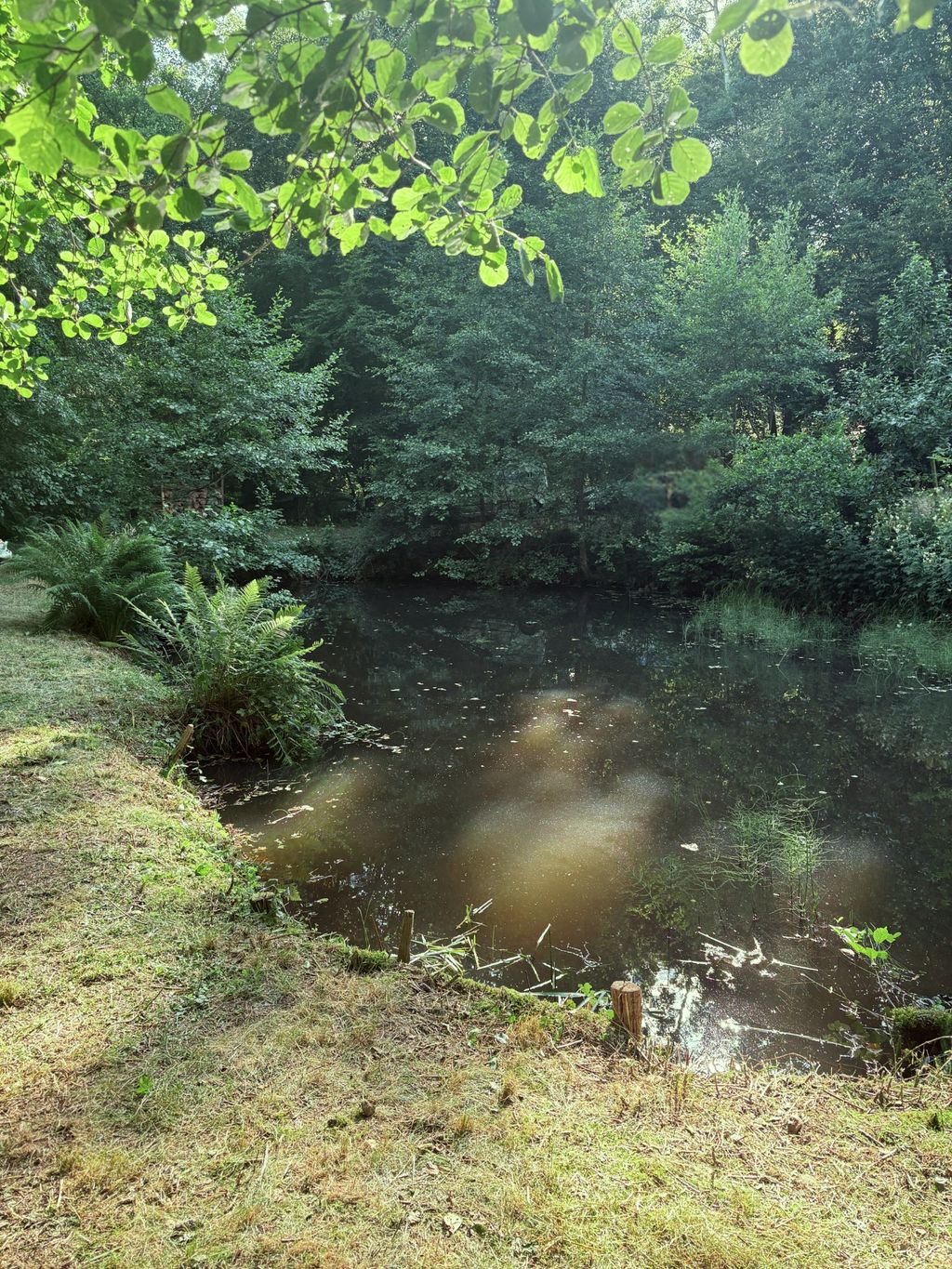 Euer privates Naturparadies am eigenen Weiher