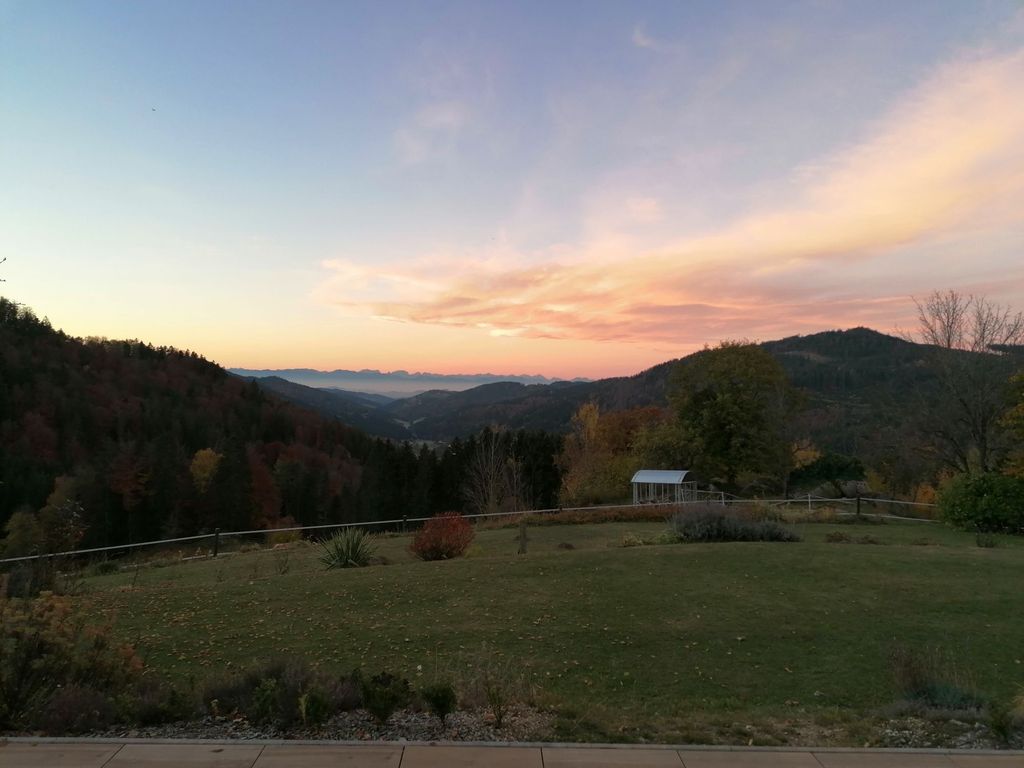 Rocky Sunshine Ranch