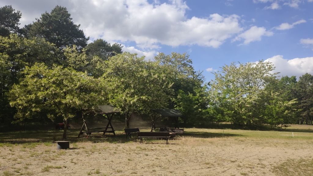 Stellplatz am Kiefernwald 