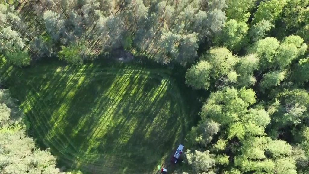 Green meadow in the forest or idyllic yard parking lot