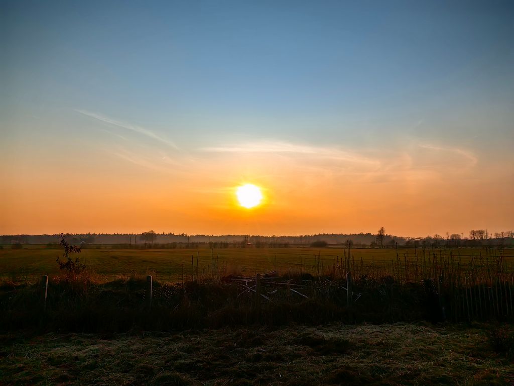 Auf der Schafweide in der schönen Treenelandschaft