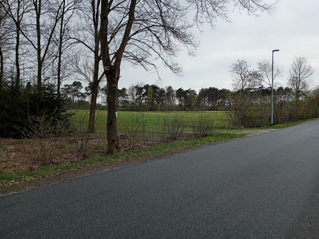 Wintermoor: An Idyllic Heathland Scene—The Heart of the Lüneburg Heath