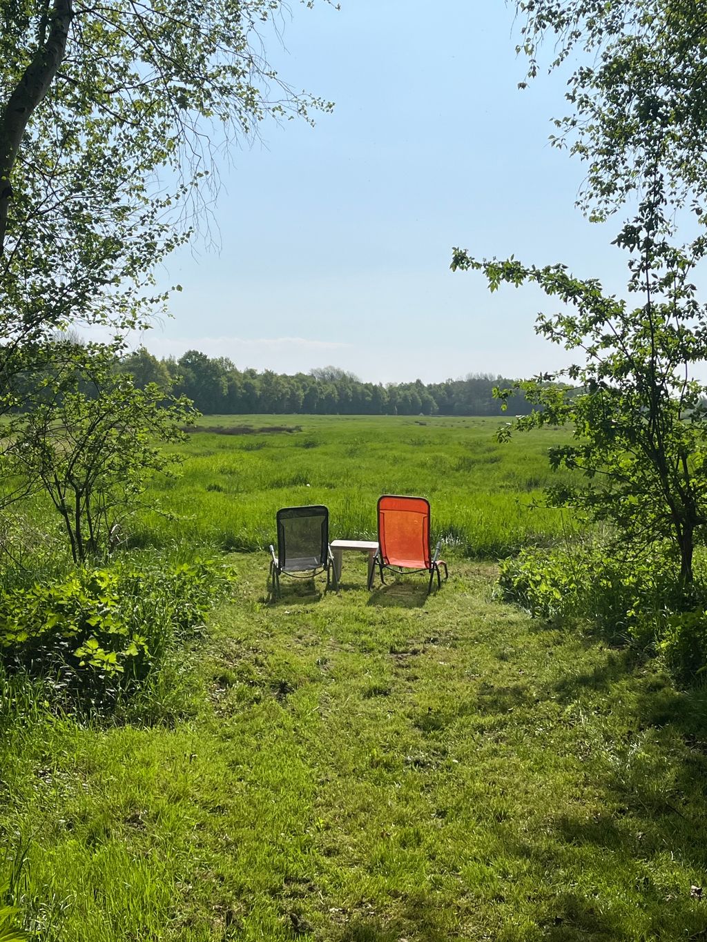 Willkommen im Moor - Campen auf dem Waldgrundstück