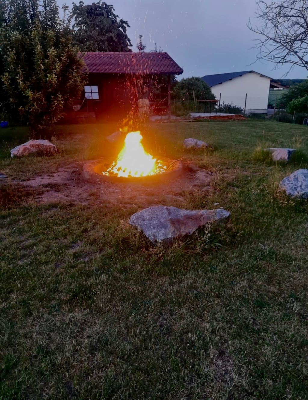 Camp in Bavaria with beer garden at the deer enclosure