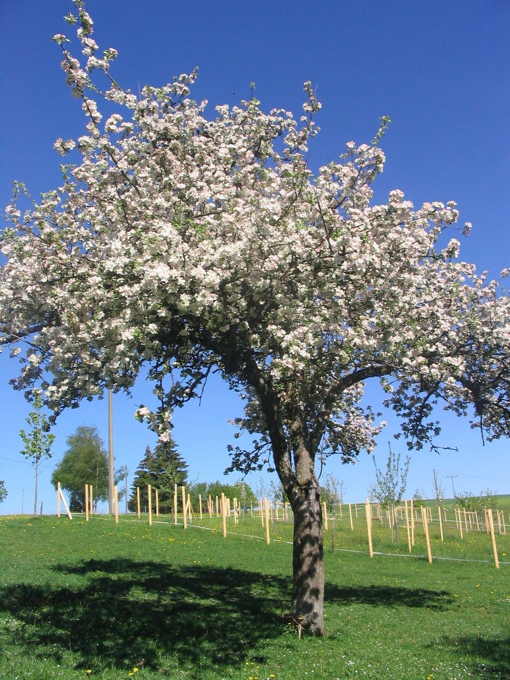Mitten in der Natur mit Hofladen und Brennerei