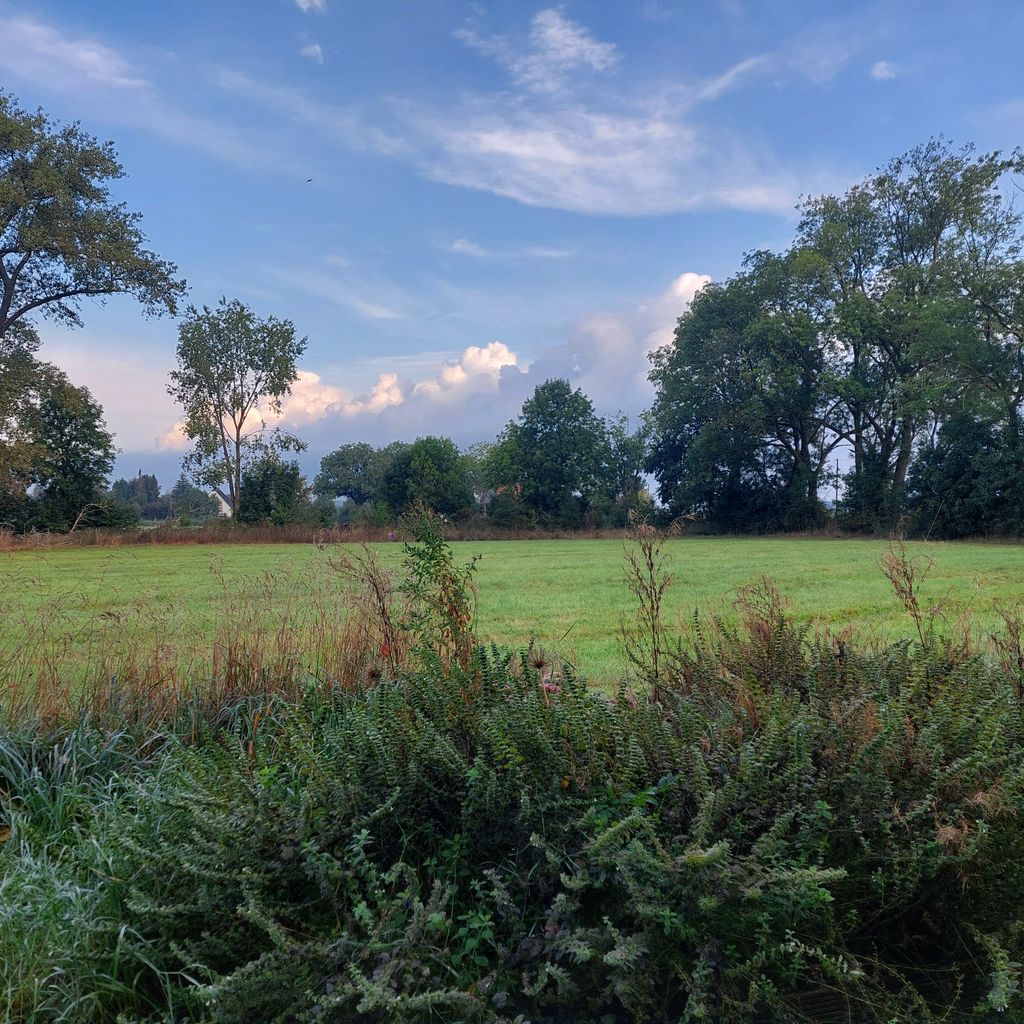 Quiet meadow by the river: Experience nature & wildlife
