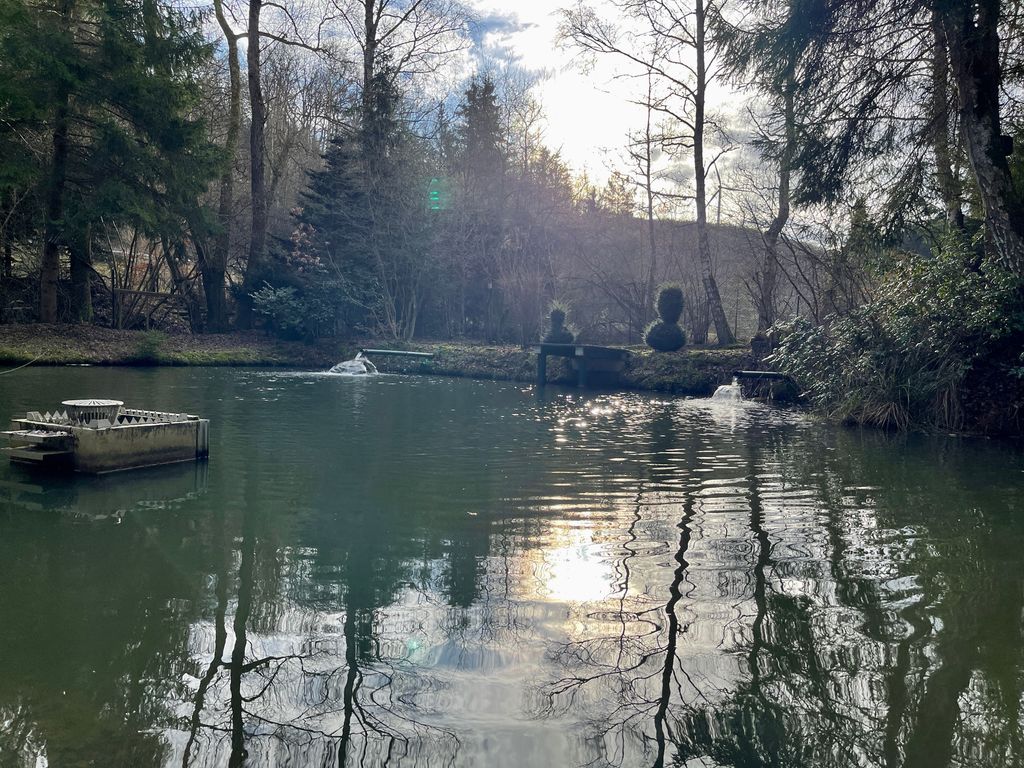 Haus am See in der Vordereifel