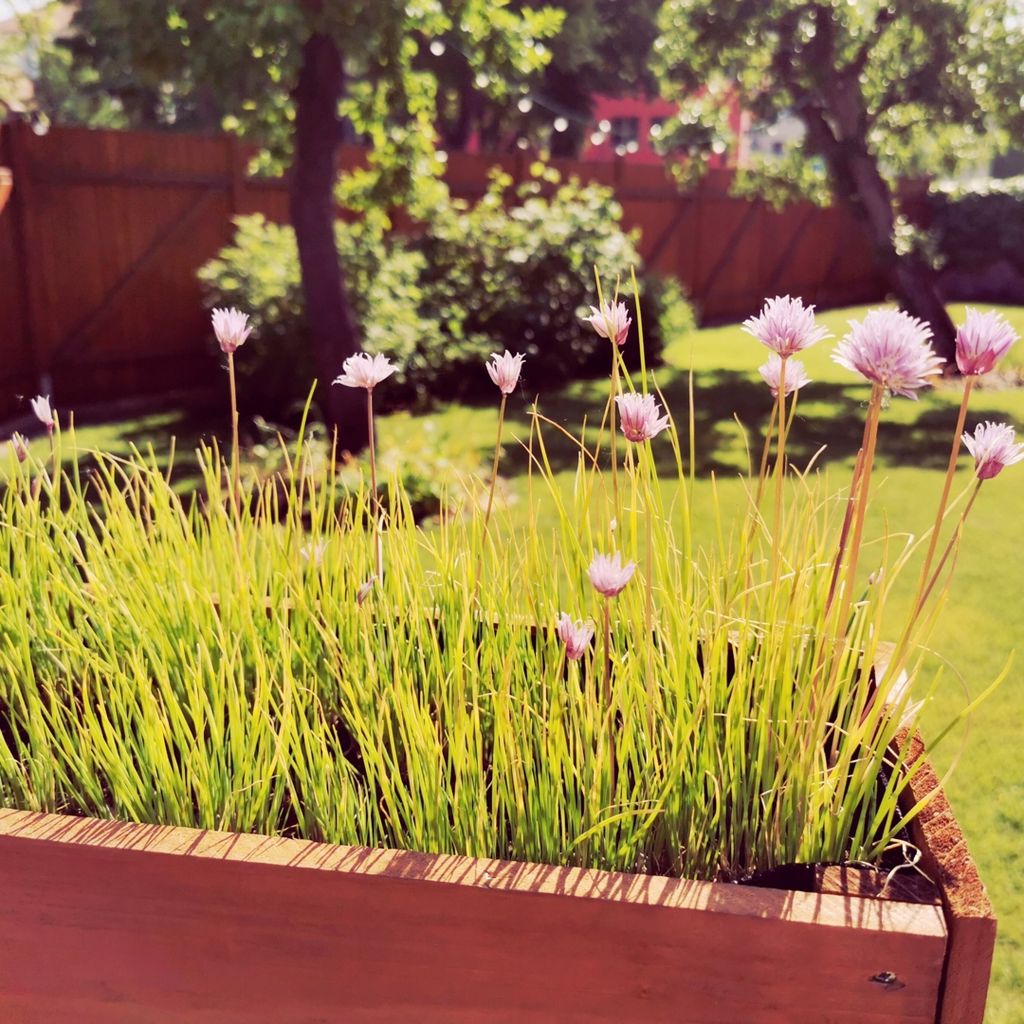 Big-city vibe or nature right on Berlin’s doorstep