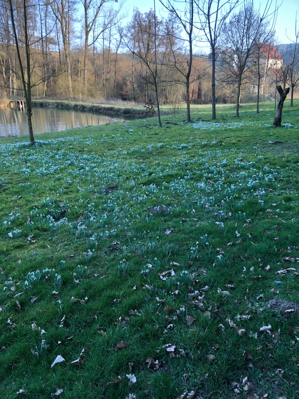 Zelten am Waldrand im Marienthal