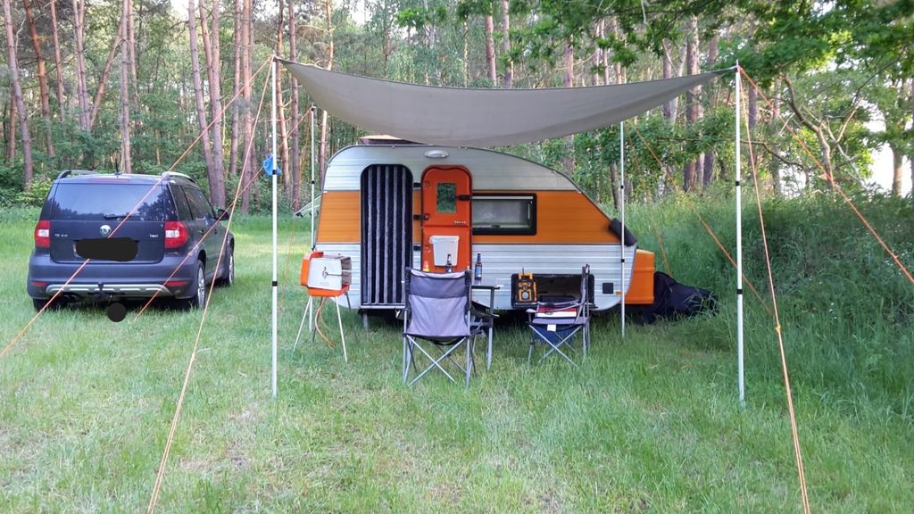 Green meadow in the forest or idyllic yard parking lot