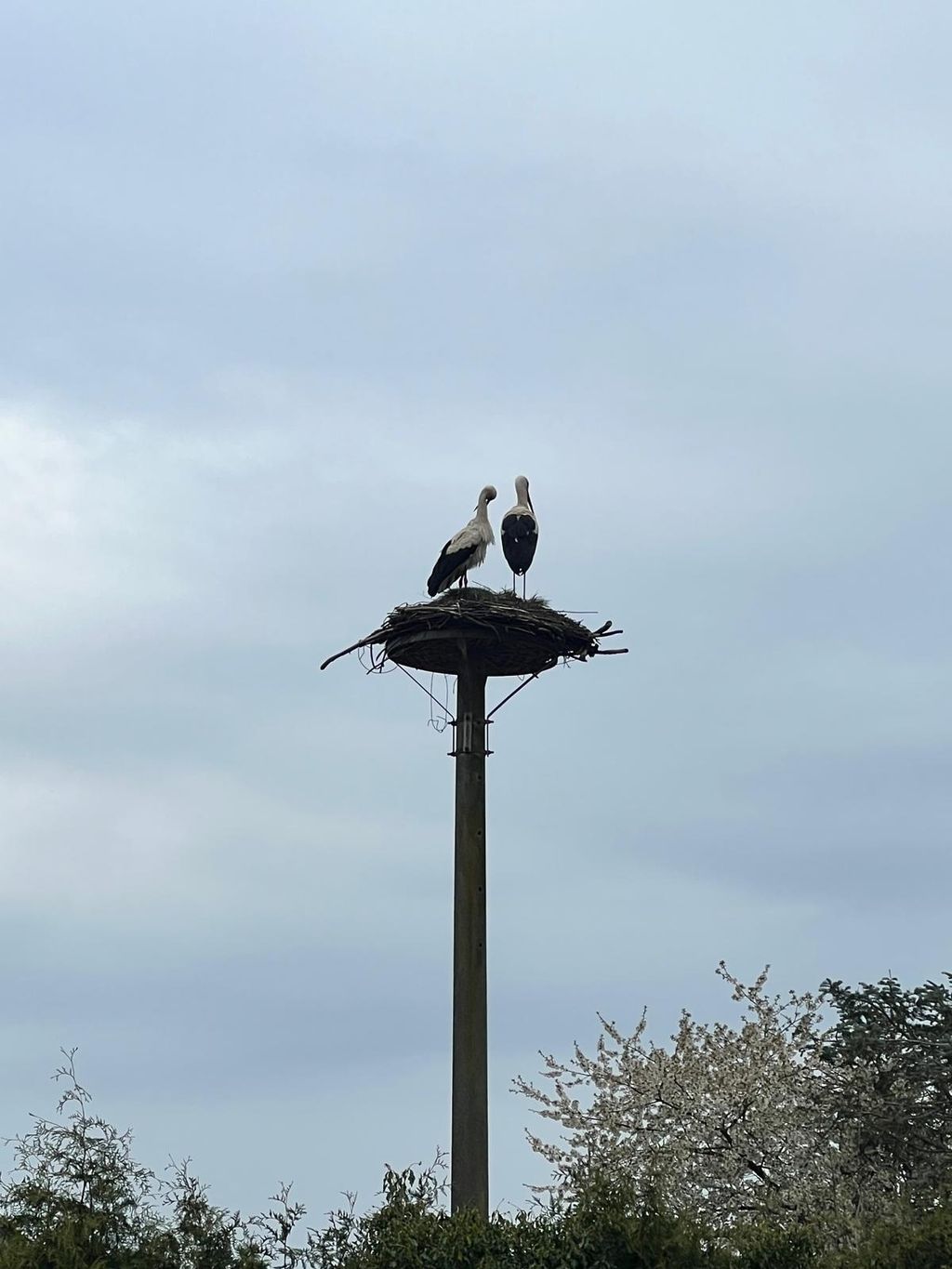 Large natural meadow next to the house: Peace and quiet, just 200 meters from the river