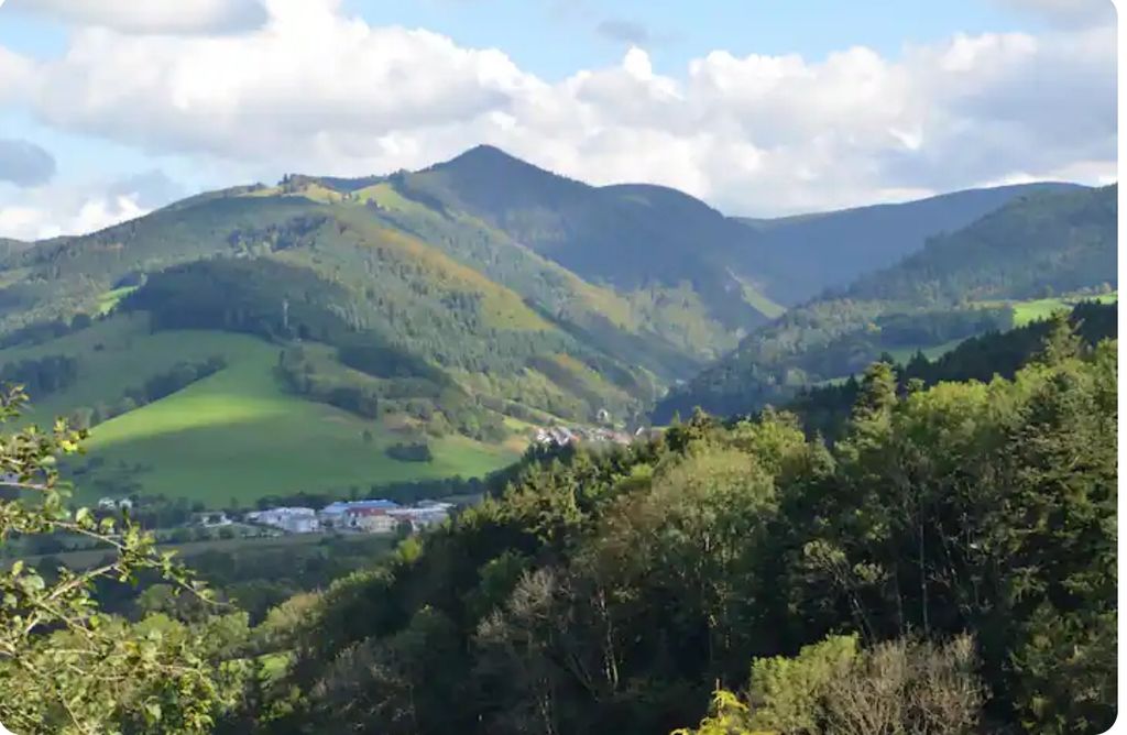 Pradera y pasto - Libre en la Selva Negra