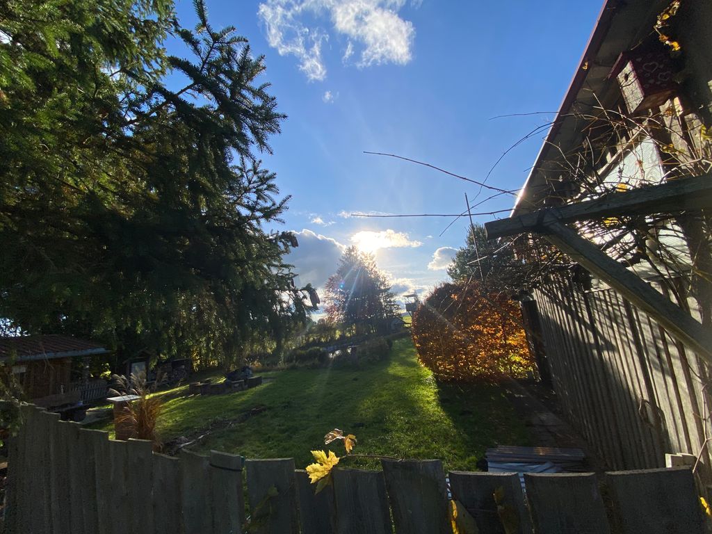 Alleinlage am Rand eines Niedermoores