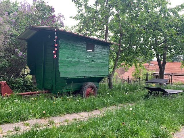 Small shepherd car in the garden surrounded by trees