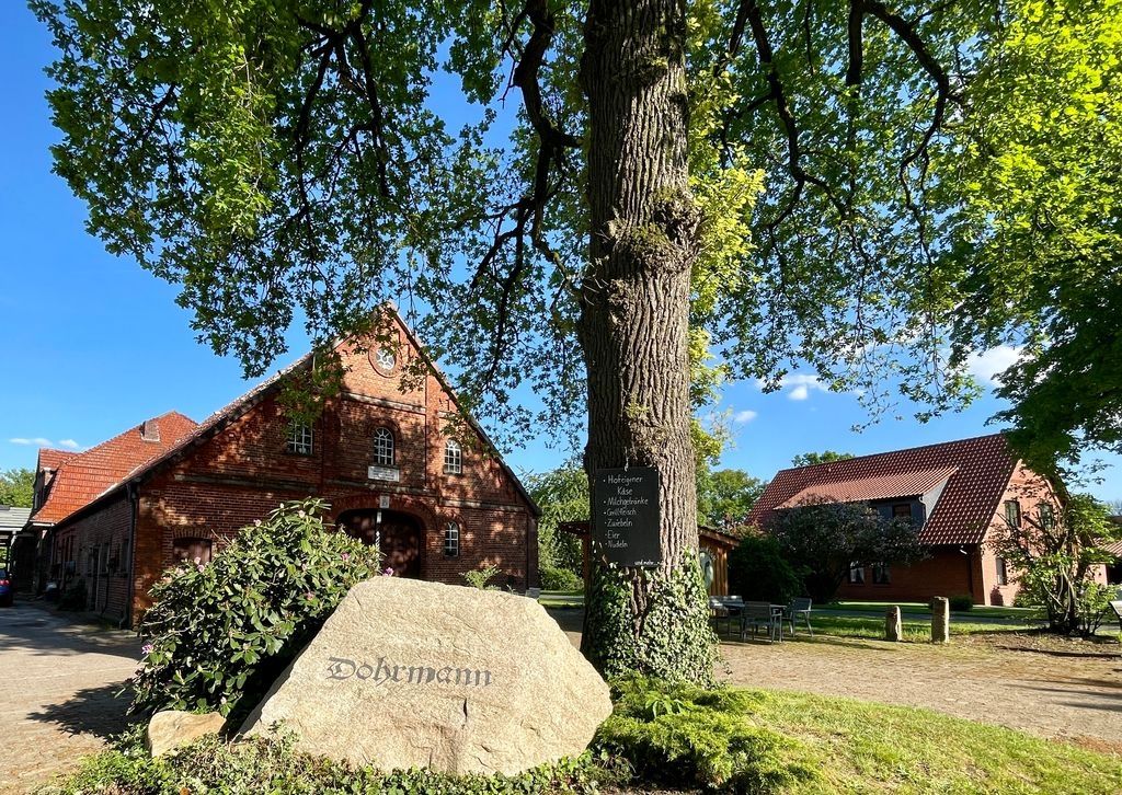 Camping in ruhiger Lage mit Wiesen- und Weideblick
