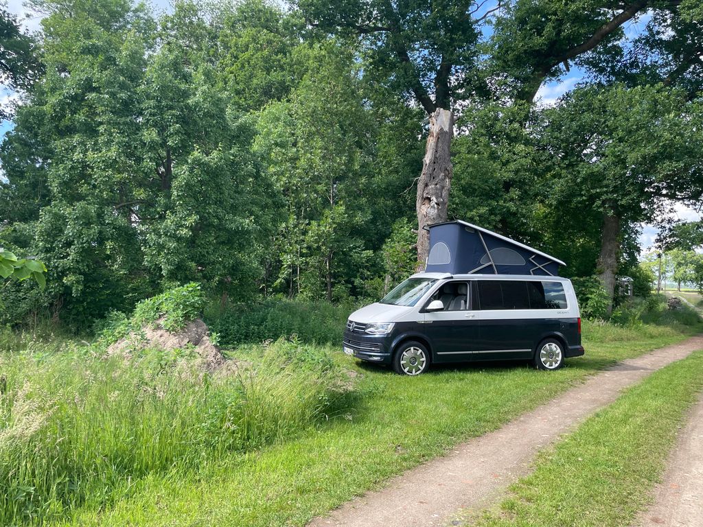 Une campagne calme et idyllique au bord de la digue de l'Elbe