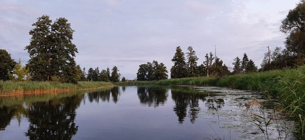 Large meadow on the Szczecin Lagoon