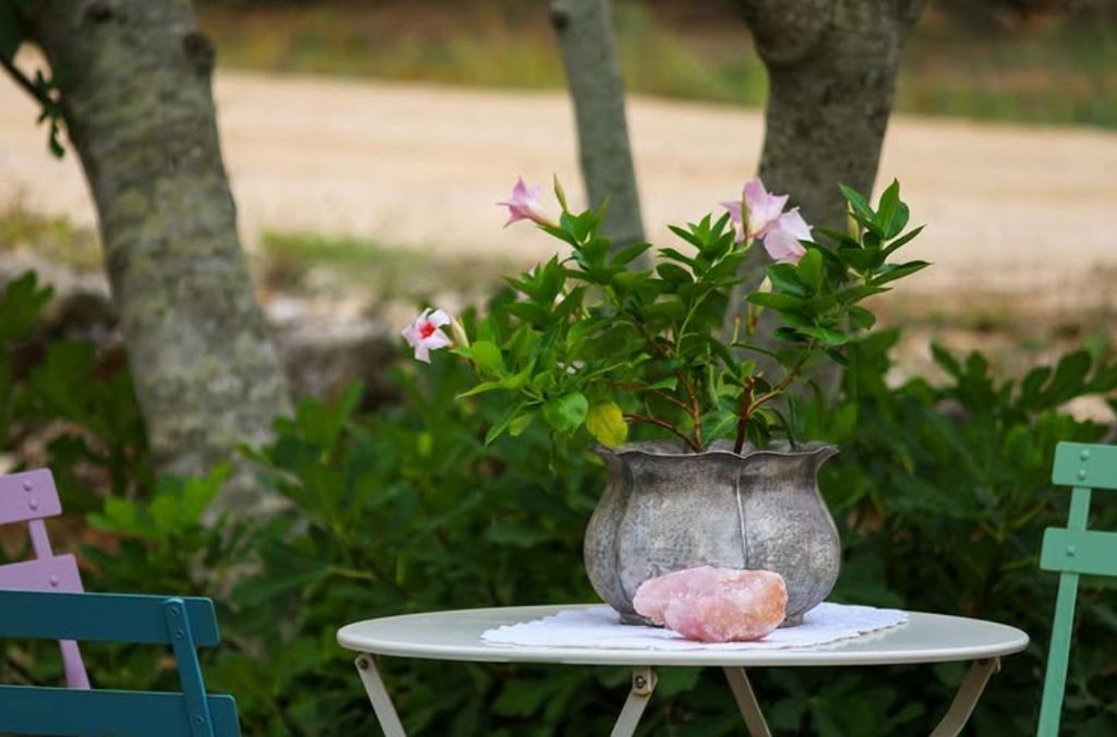 Authentisches Refugium: Natur, Olivenbäume und Entspannung