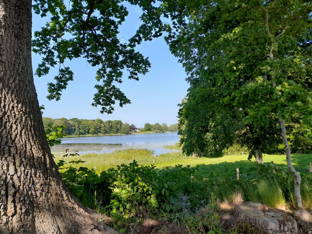 Seeblick Jürgenshagen 