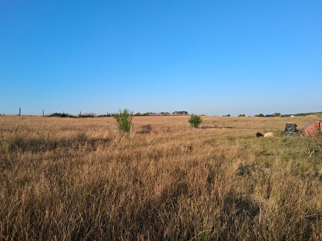 Camping spot on a spacious meadow by the Baltic Sea