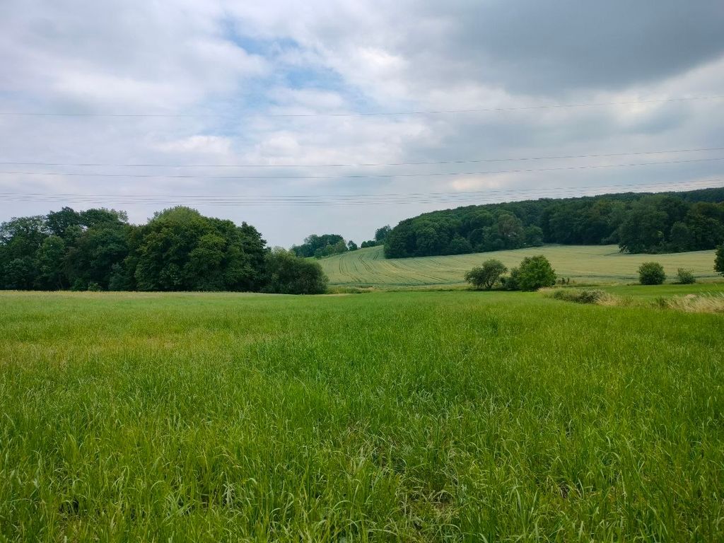 Schöner Wiesen-Stellplatz mit Blick ins Grüne  