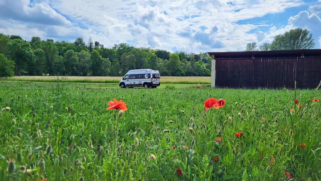 Time out at a disused farm
