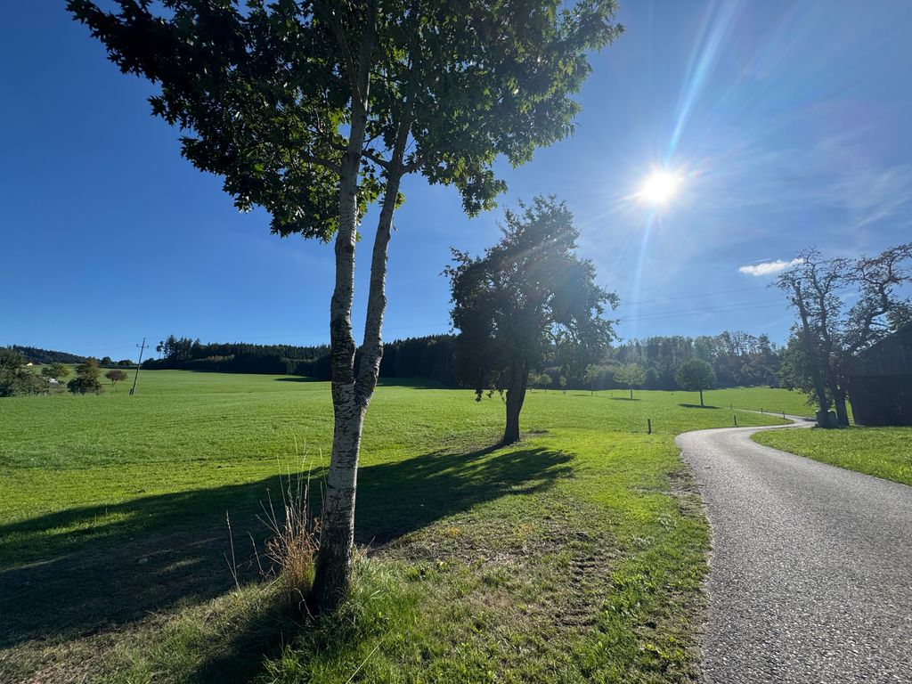 Schlafen im Grünen - am Rande des Hausruckwaldes