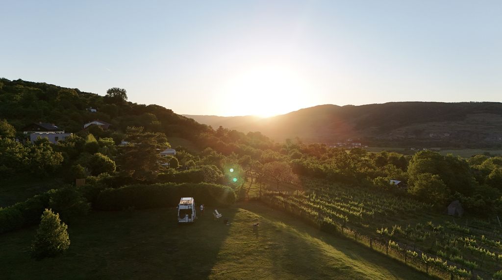 Blick über die Weinberge der Wachau