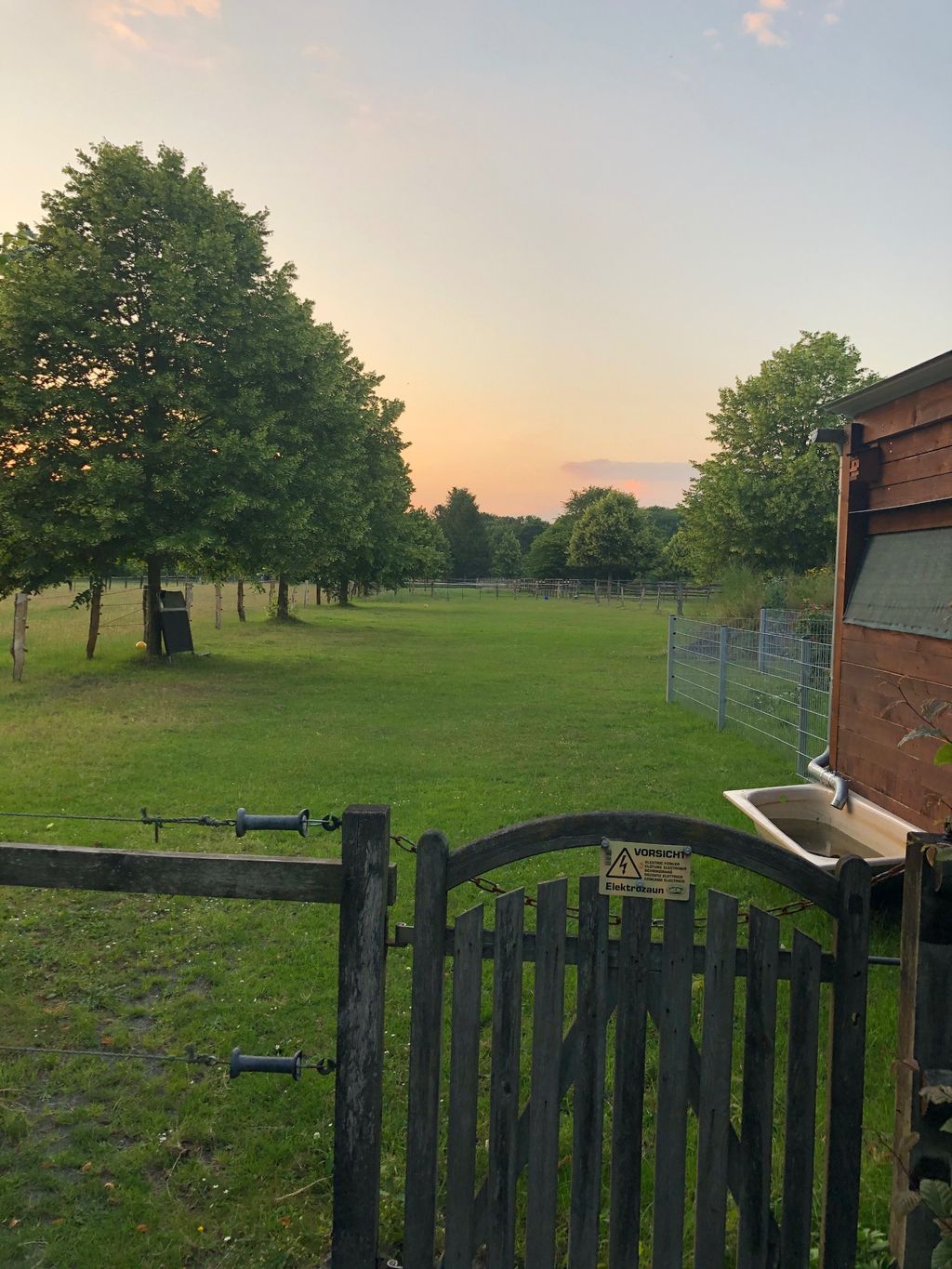 In the middle of the country under linden trees