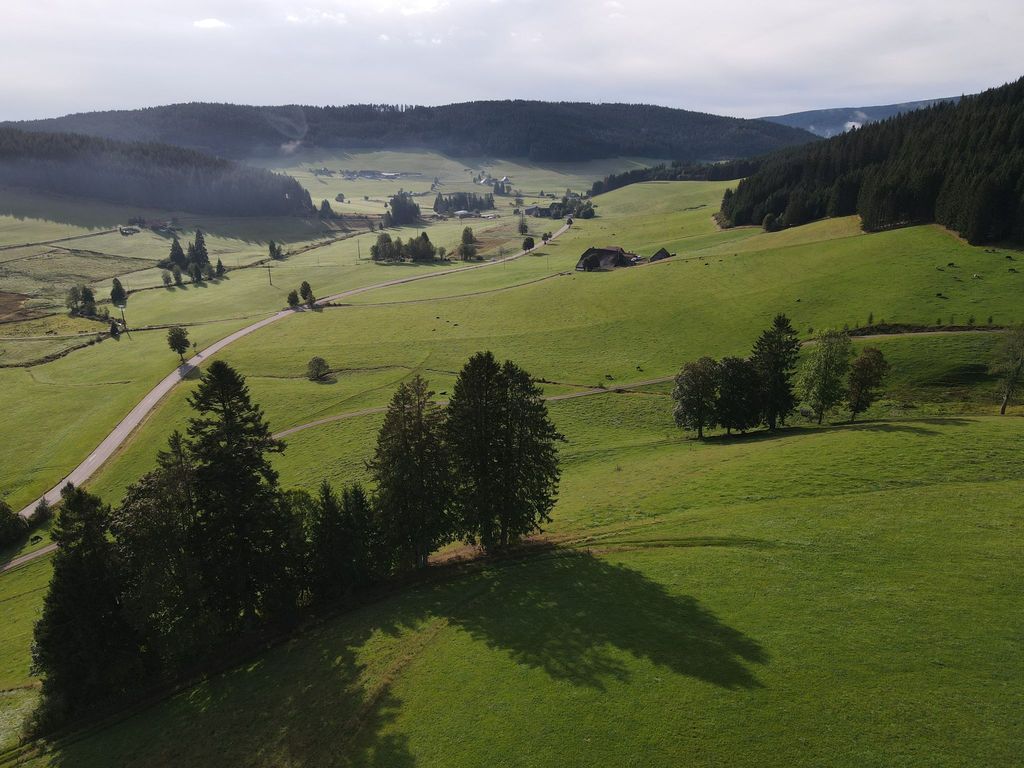 Bei der Fallerhütte im Schwarzwald mit Grillstelle