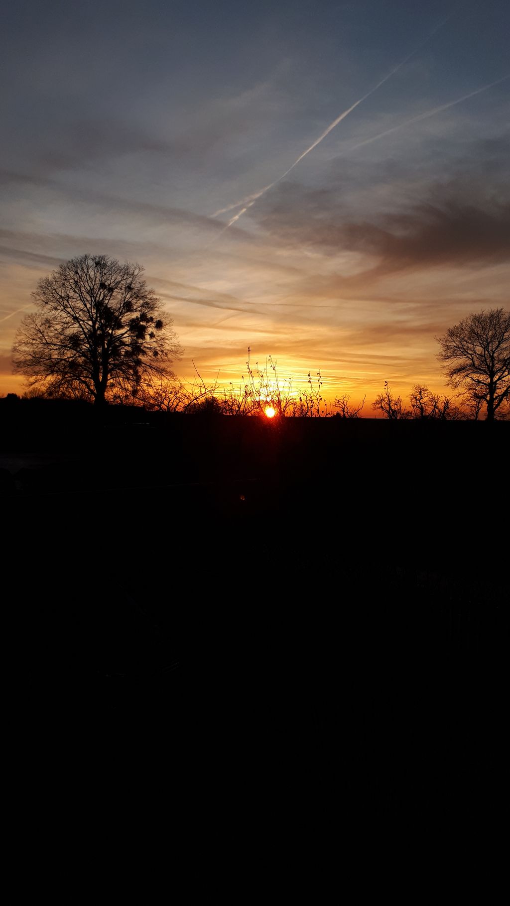 Experience nature near Jena