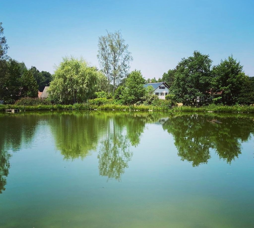 Al borde del bosque y de un pequeño lago: vacaciones en el estanque Mühlweiher