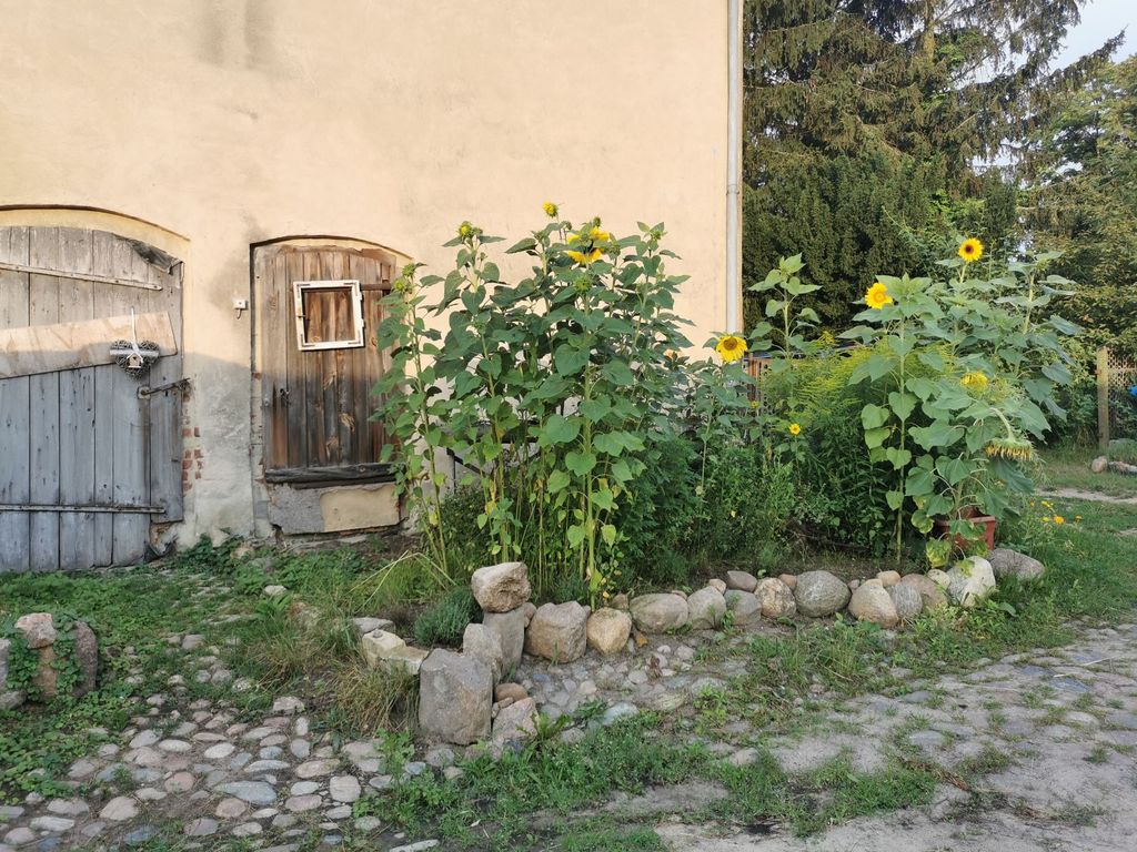 Campen auf dem Vierseitenhof