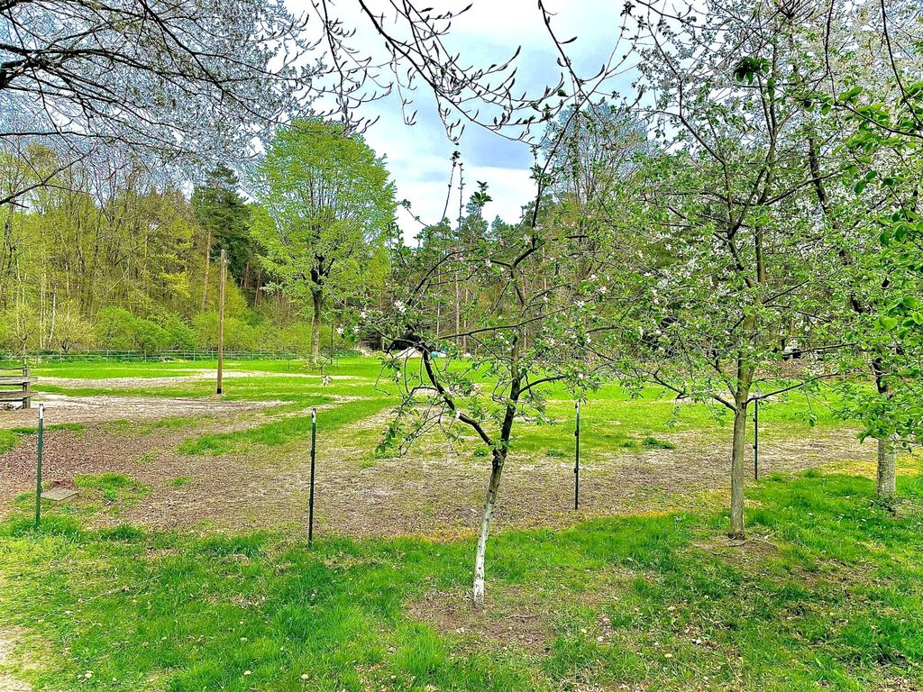 Geheimtipp: Idyllischer Stellplatz im Grünen