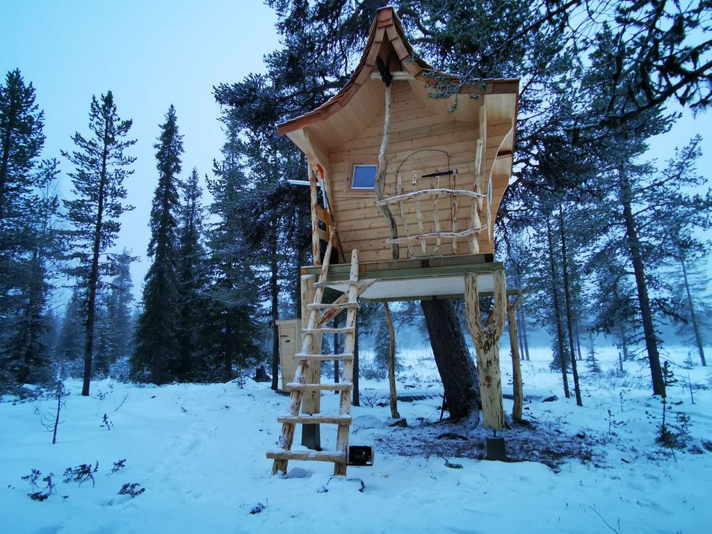 Baumhaus "Resting Raven" - urig und naturnah 