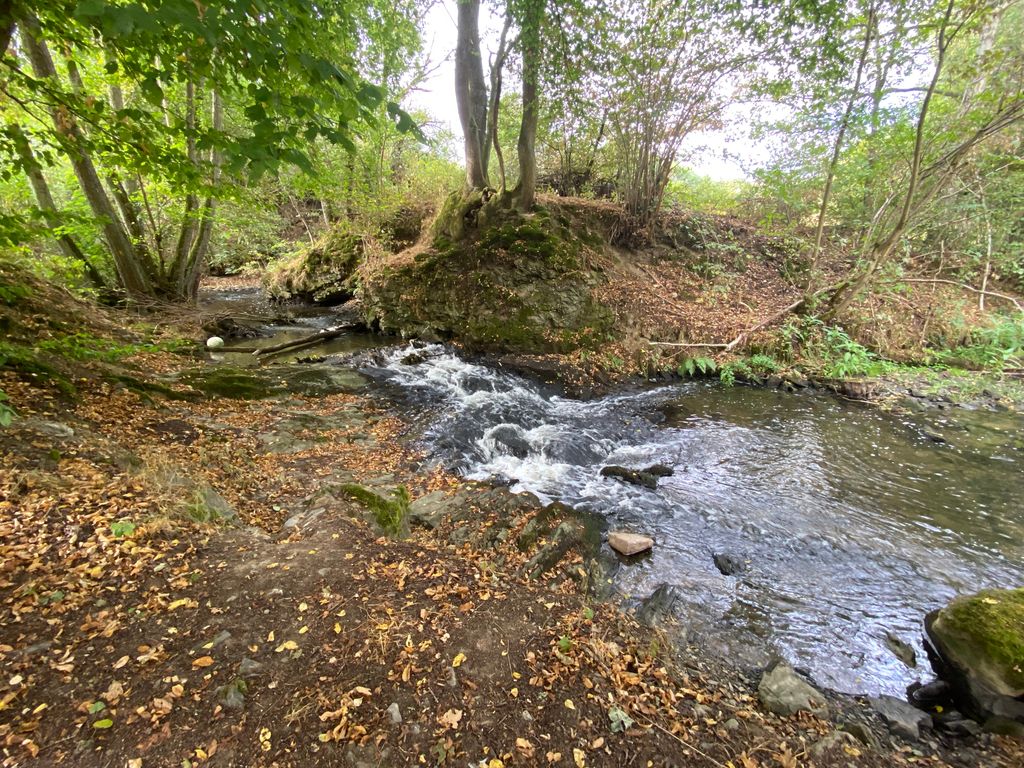 Cascade de l'Aarbach