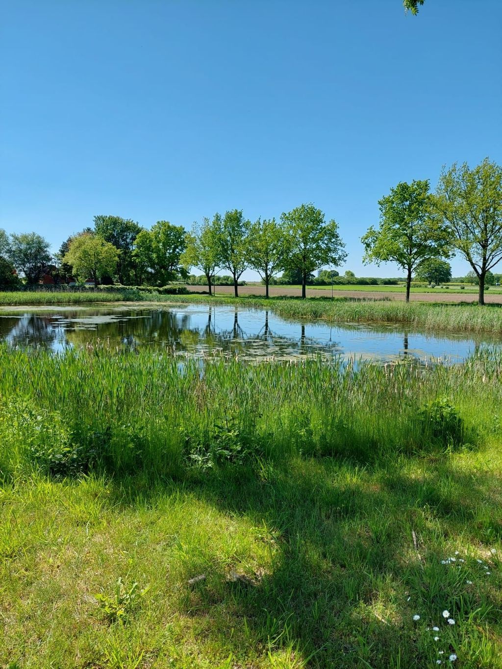 Idyllische Plätze in Wangelau