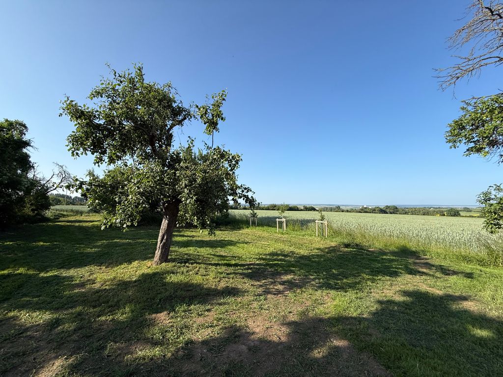 Lejos de los caminos trillados del huerto