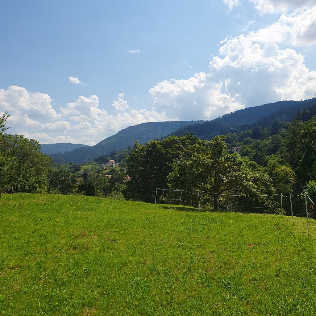 Terrain de camping "unterm Apfelbaum" dans le nord de la Forêt-Noire