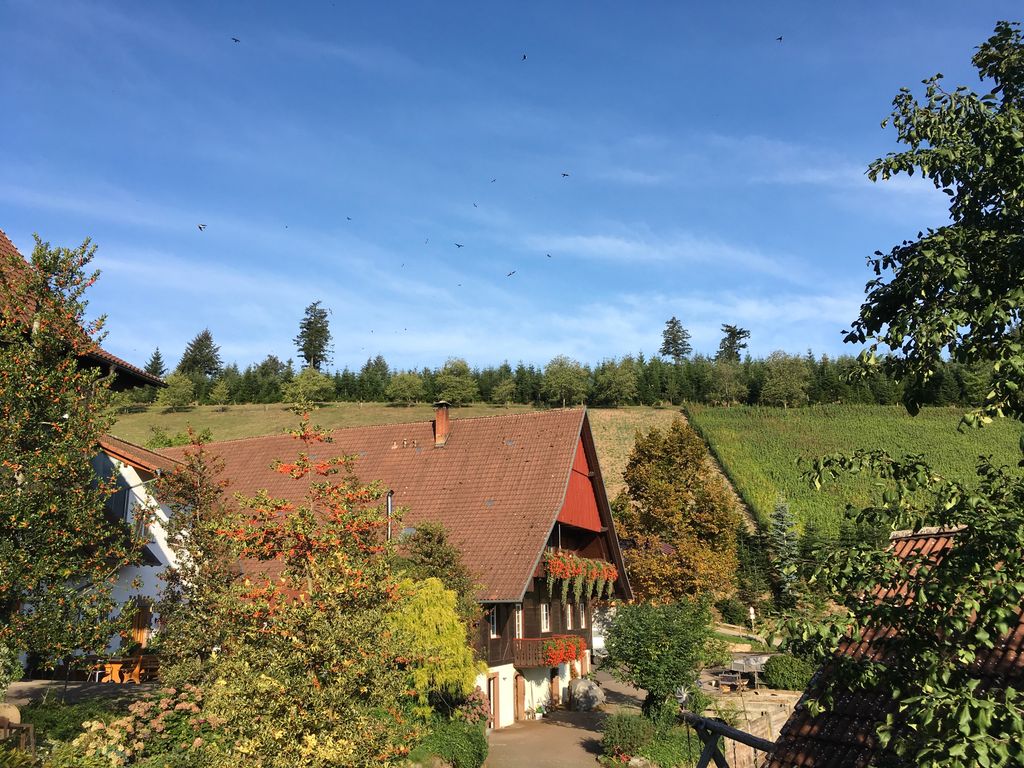 Bauernhoferlebnis, do sage Fuxs und Has gudnochd