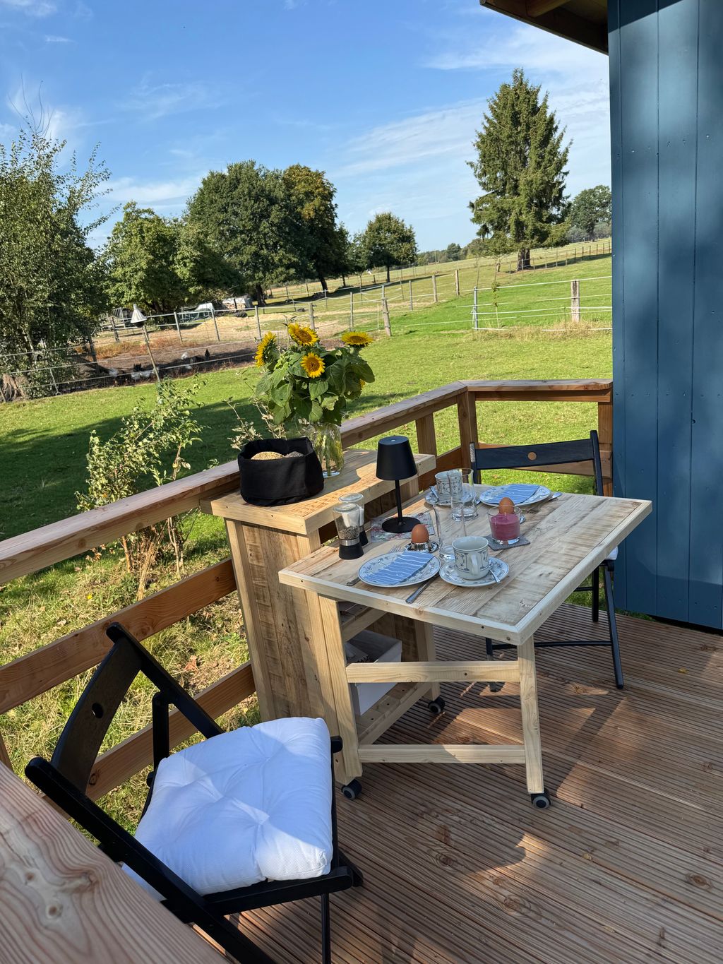 Coche azul en el campo