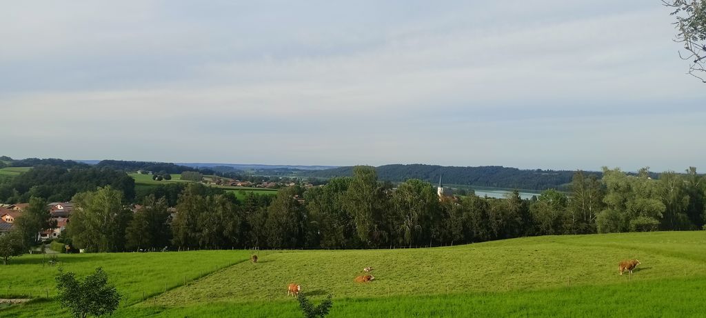 Komm mit in's Wunder-Land ...