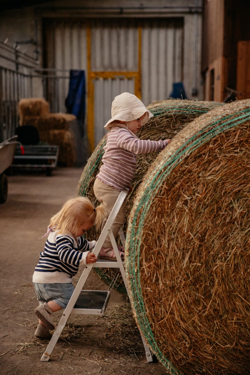 Rancho con caballos y ganado en el canal Ems-Jade