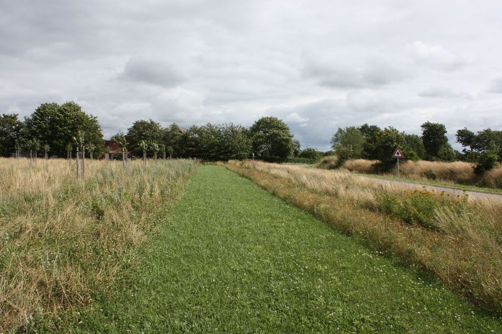 Prato a frutteto nella Frisia settentrionale